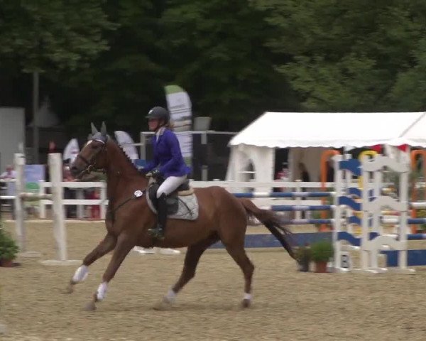 Reitturnier Köln-Weidenpesch Equorius 2017
