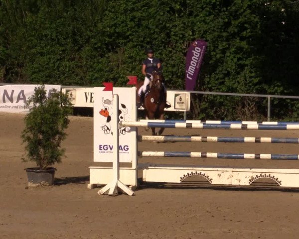 Reitturnier Fröndenberg 2017