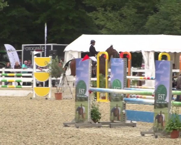 Reitturnier Köln-Weidenpesch Equorius 2017