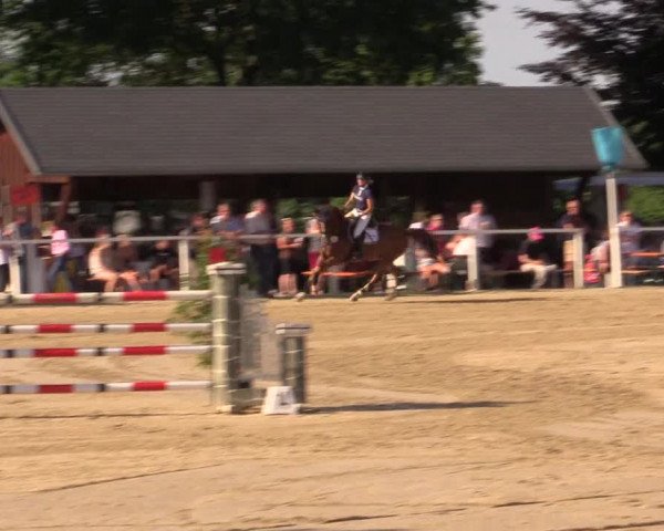 Reitturnier Fröndenberg 2017