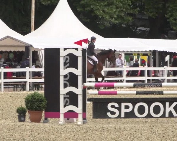 Reitturnier Köln-Weidenpesch Equorius 2017
