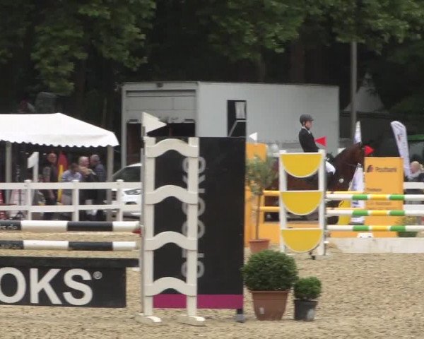 Reitturnier Köln-Weidenpesch Equorius 2017