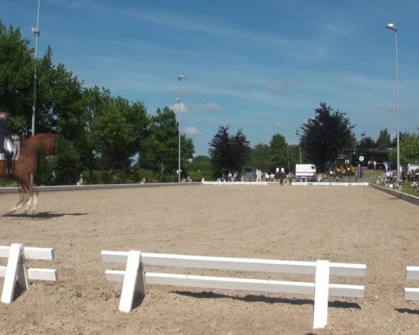 Reitturnier Fröndenberg 2017