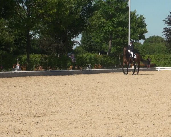 Reitturnier Fröndenberg 2017
