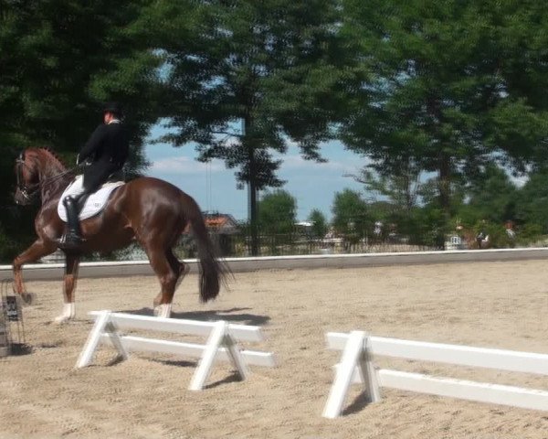 Reitturnier Fröndenberg 2017