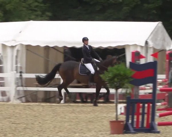 Reitturnier Köln-Weidenpesch Equorius 2017