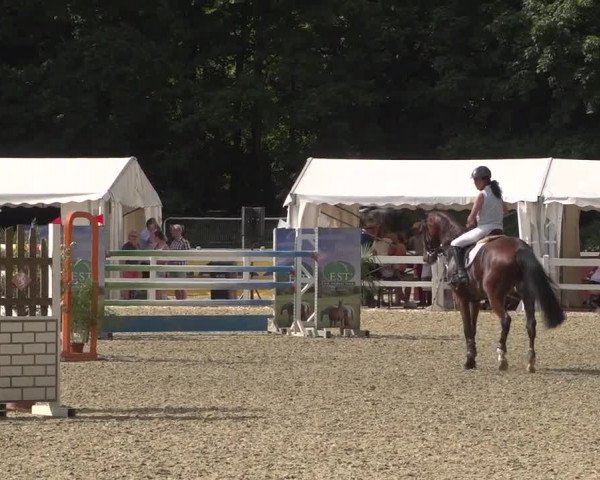 Reitturnier Köln-Weidenpesch Equorius 2017