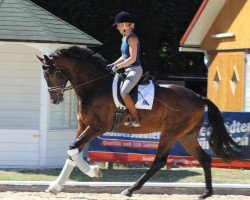 dressage horse Fabelhaft Gk (Oldenburg, 2015, from Fürstenball)