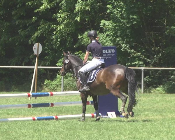 Reitturnier Leingarten 2017
