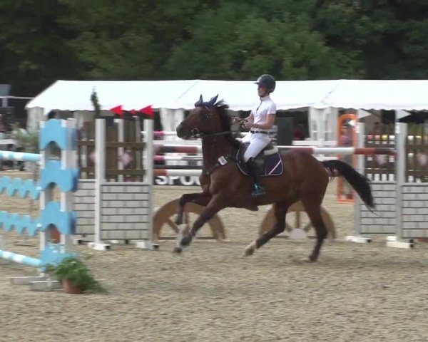 Reitturnier Köln-Weidenpesch Equorius 2017