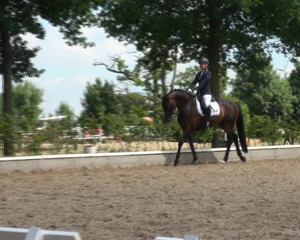 Reitturnier Fröndenberg 2017