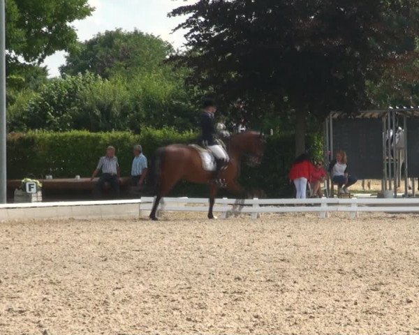 Reitturnier Fröndenberg 2017