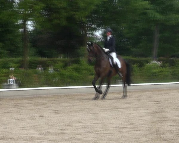 Reitturnier Fröndenberg 2017