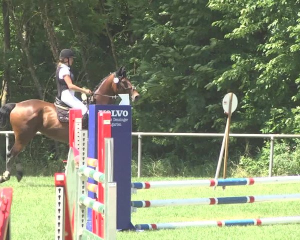 Reitturnier Leingarten 2017