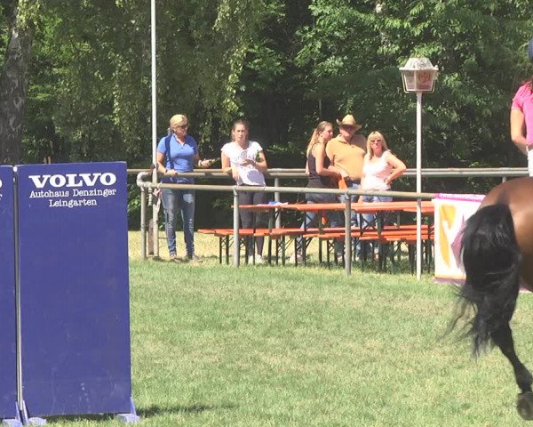 Reitturnier Leingarten 2017