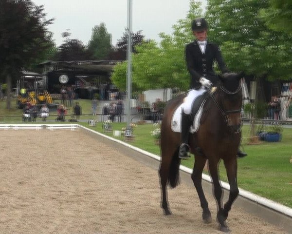 Reitturnier Fröndenberg 2017