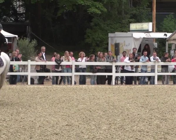 Reitturnier Köln-Weidenpesch Equorius 2017