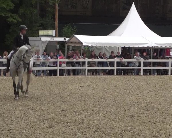 Reitturnier Köln-Weidenpesch Equorius 2017