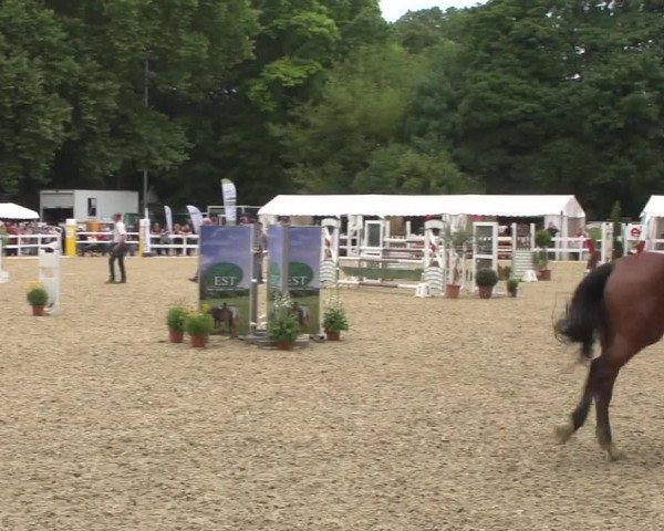 Reitturnier Köln-Weidenpesch Equorius 2017