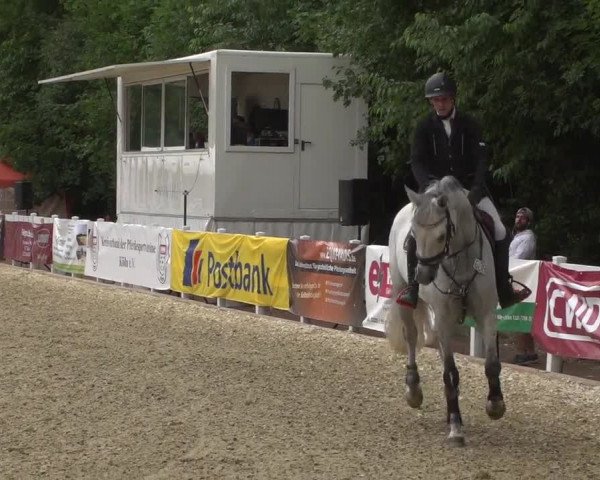 Reitturnier Köln-Weidenpesch Equorius 2017