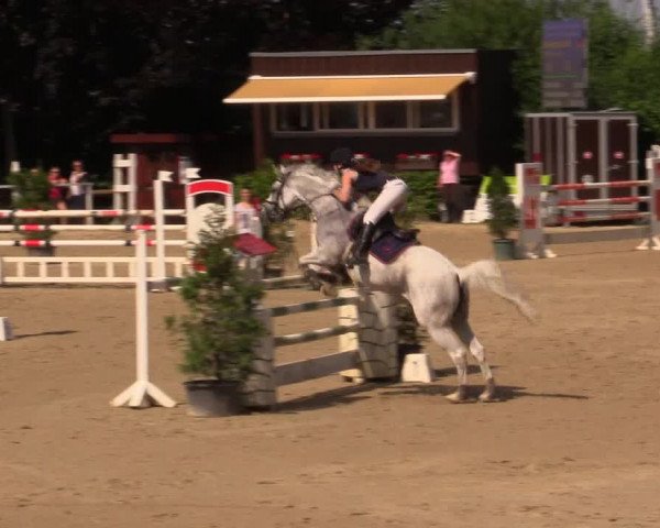 Reitturnier Fröndenberg 2017