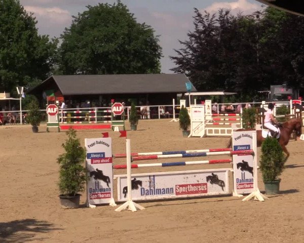 Reitturnier Fröndenberg 2017