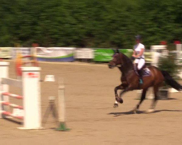 Reitturnier Fröndenberg 2017