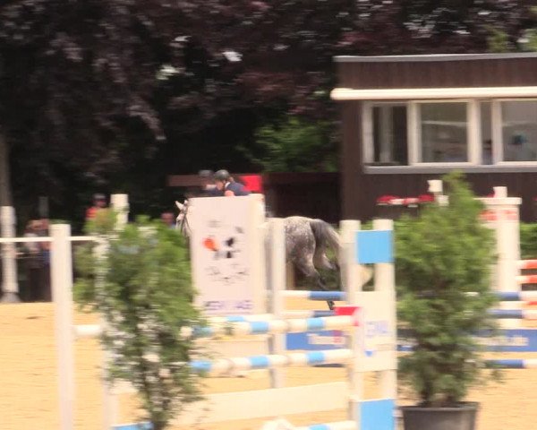 Reitturnier Fröndenberg 2017