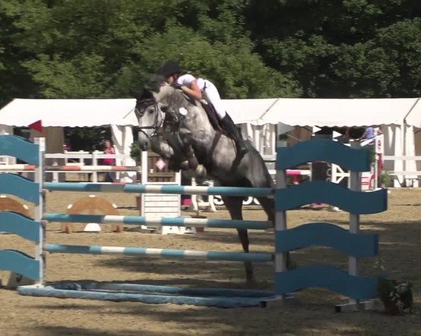 Reitturnier Köln-Weidenpesch Equorius 2017