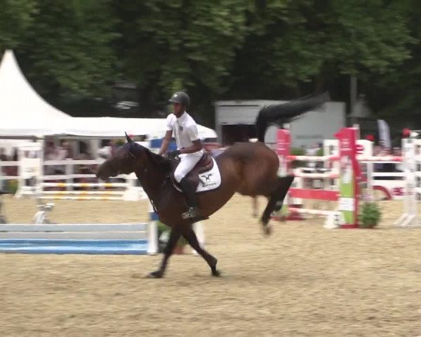 Reitturnier Köln-Weidenpesch Equorius 2017