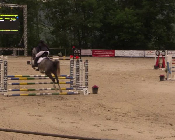 Reitturnier Haiger-Rodenbach, Drei-Länder-Challenge 2017