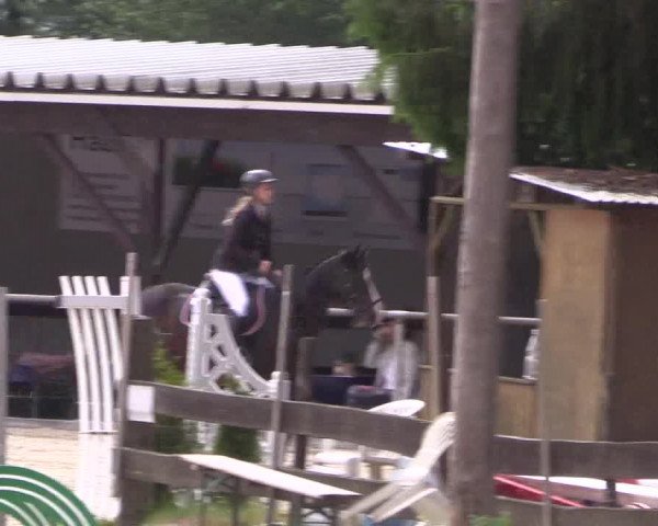 Reitturnier Haiger-Rodenbach, Drei-Länder-Challenge 2017