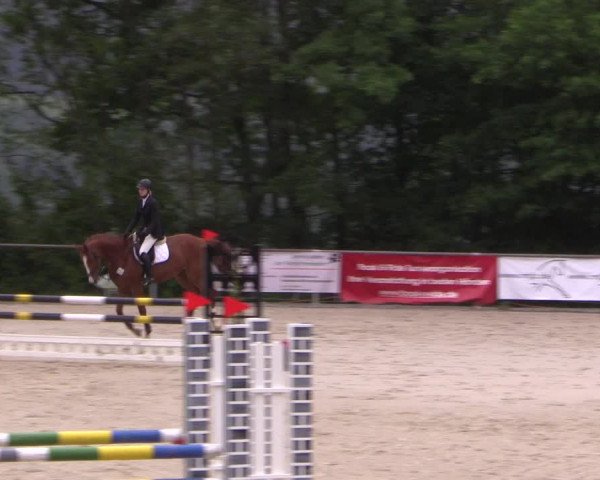 Reitturnier Haiger-Rodenbach, Drei-Länder-Challenge 2017