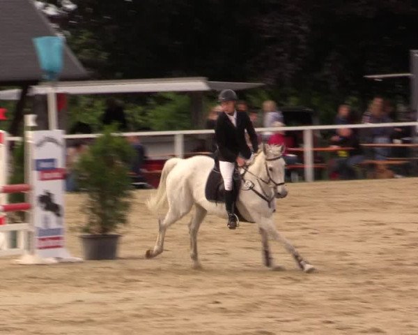 Reitturnier Fröndenberg 2017