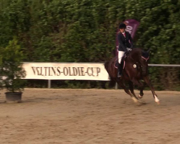 Reitturnier Fröndenberg 2017