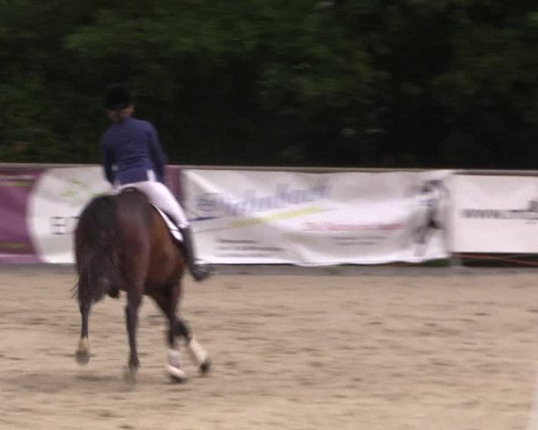 Reitturnier Haiger-Rodenbach, Drei-Länder-Challenge 2017