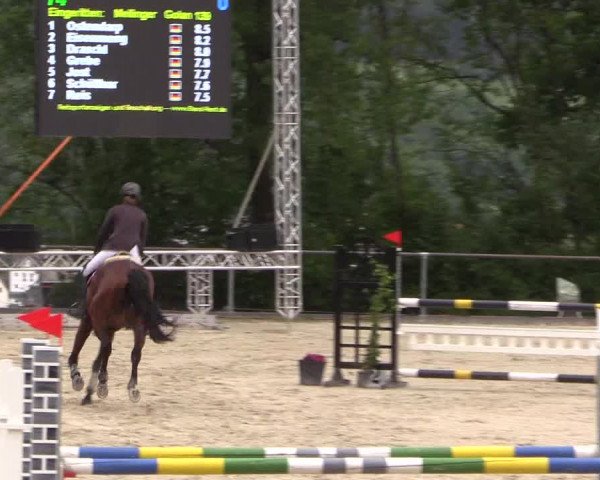 Reitturnier Haiger-Rodenbach, Drei-Länder-Challenge 2017