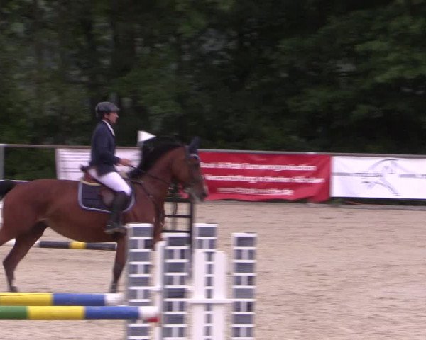 Reitturnier Haiger-Rodenbach, Drei-Länder-Challenge 2017
