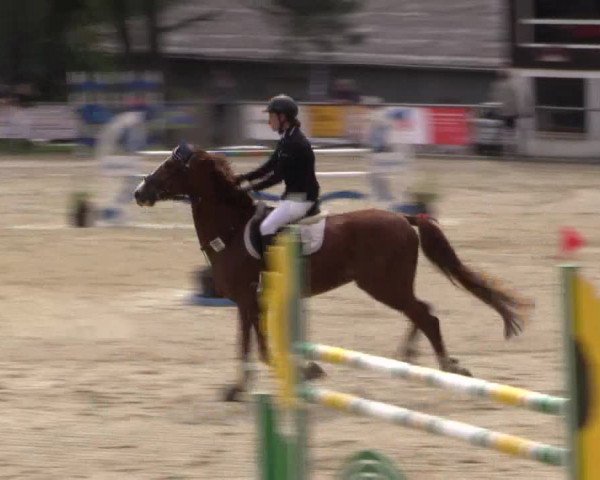Reitturnier Haiger-Rodenbach, Drei-Länder-Challenge 2017