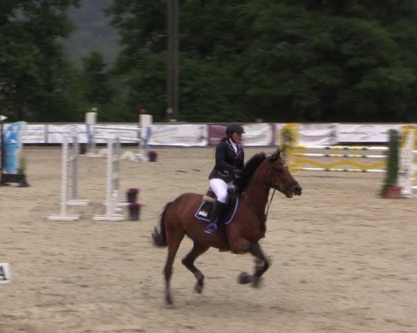 Reitturnier Haiger-Rodenbach, Drei-Länder-Challenge 2017