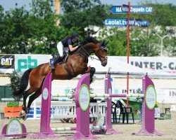 jumper Cantorino (Holsteiner, 2010, from Canto)