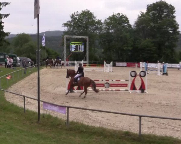 Reitturnier Haiger-Rodenbach, Drei-Länder-Challenge 2017