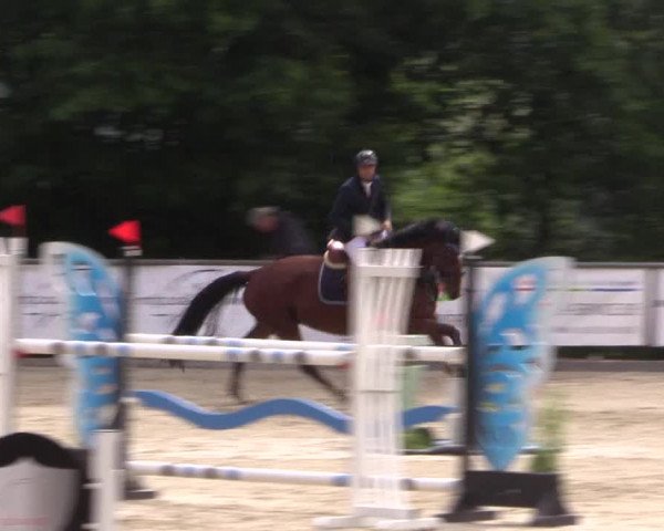 Reitturnier Haiger-Rodenbach, Drei-Länder-Challenge 2017