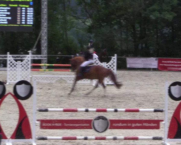 Reitturnier Haiger-Rodenbach, Drei-Länder-Challenge 2017