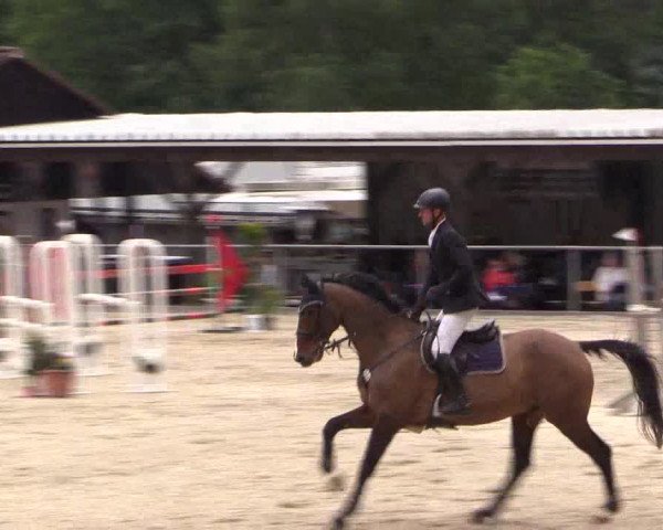 Reitturnier Haiger-Rodenbach, Drei-Länder-Challenge 2017