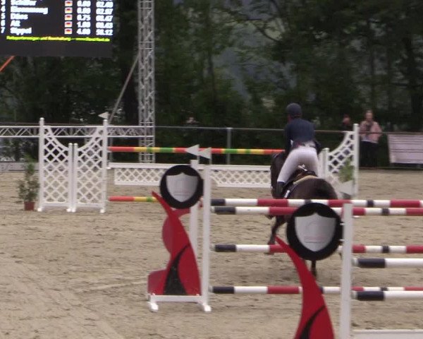 Reitturnier Haiger-Rodenbach, Drei-Länder-Challenge 2017