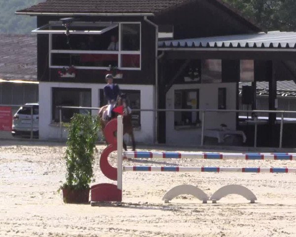 Reitturnier Haiger-Rodenbach, Drei-Länder-Challenge 2017