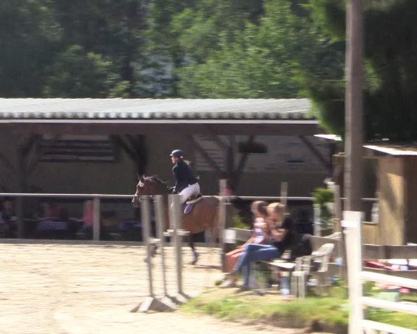 Reitturnier Haiger-Rodenbach, Drei-Länder-Challenge 2017