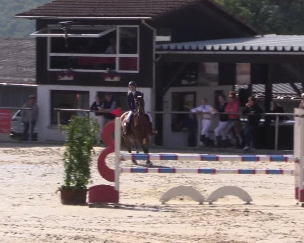 Reitturnier Haiger-Rodenbach, Drei-Länder-Challenge 2017