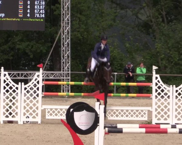 Reitturnier Haiger-Rodenbach, Drei-Länder-Challenge 2017